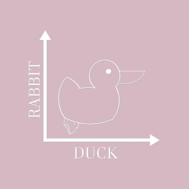 Rabbit Duck - Gone Wrong