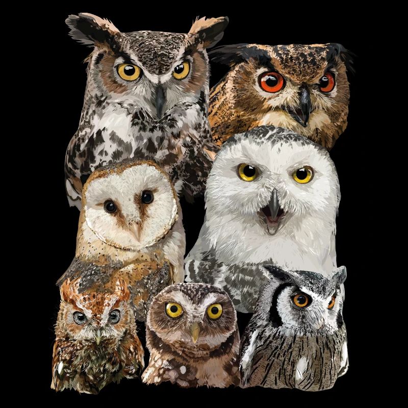 Rapaces nocturnes
