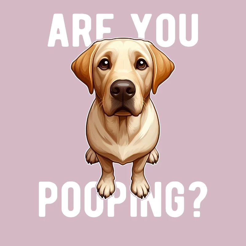 Faites-vous caca ? Drôle de chien labrador