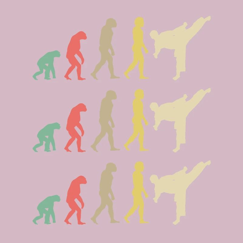 Karate Evolution - Taekwondo
