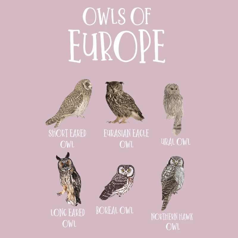 Eulenarten, Eulen & Kauze, Eule Fan