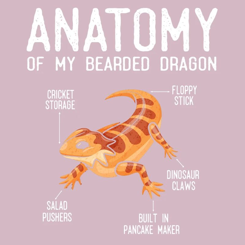Anatomie Eines Bärtigen Drachen
