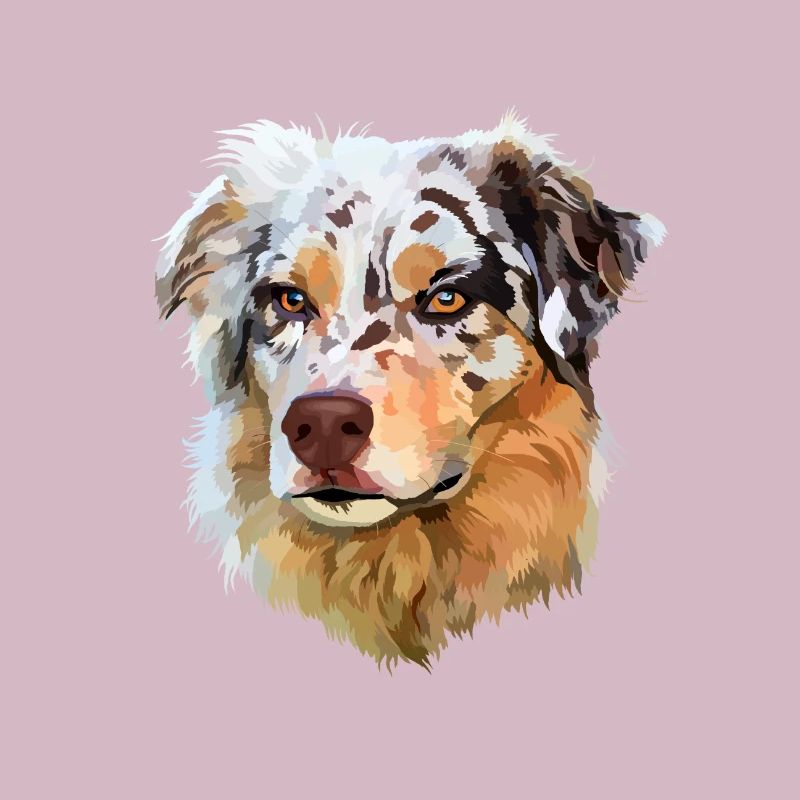 Australian Shepherd Aussie Red merle Hunderasse