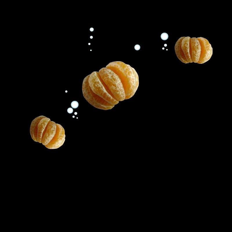 Mandarin jellyfish