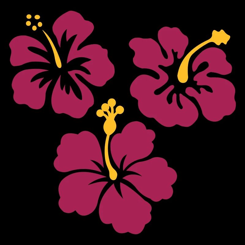Trois fleurs d'hibiscus