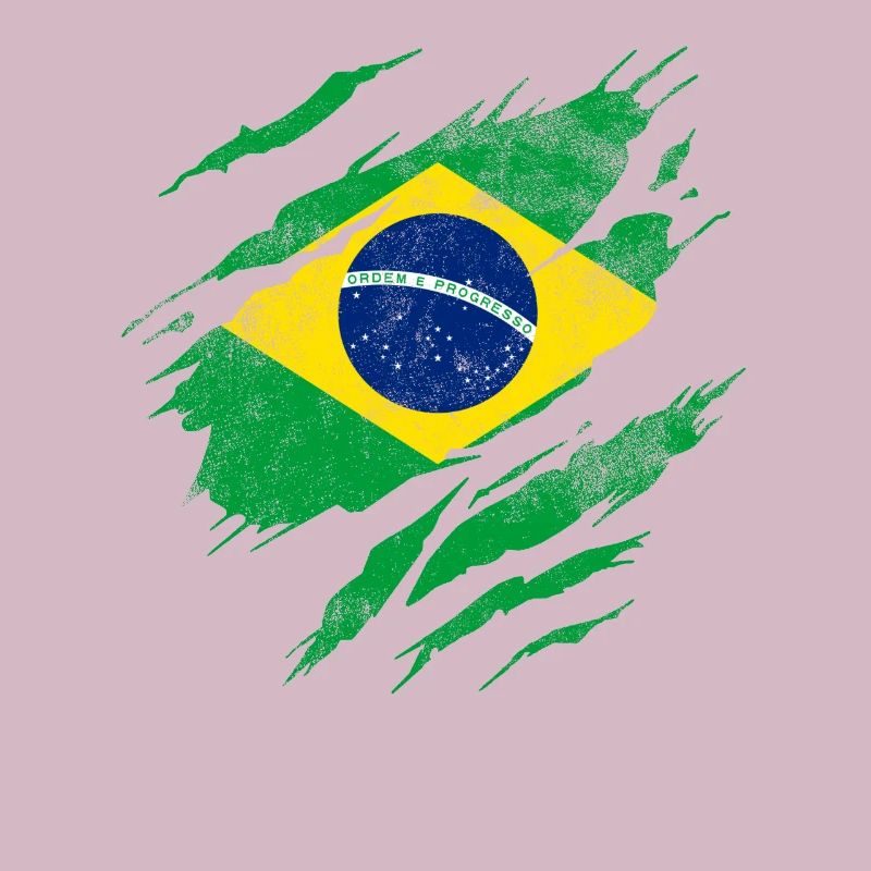 Drapeau du Brésil