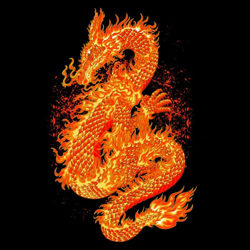 dragon Feuerdrache Feuer
