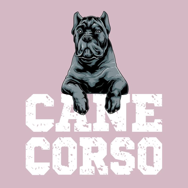 Cane Corso pour un propriétaire de Cane Corso Cane