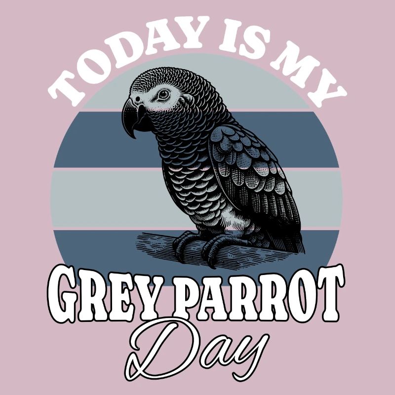 Graupapagei Grey Parrot