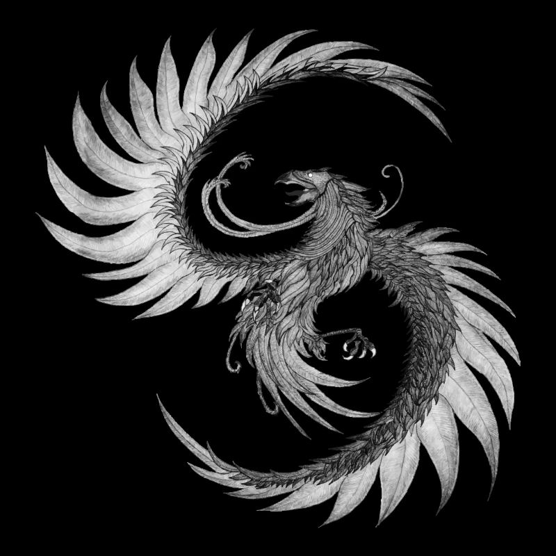 Phoenix de ses cendres