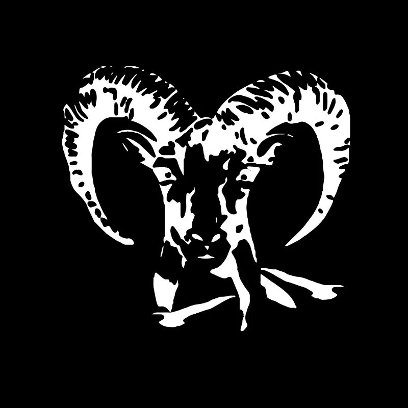 Tête de mouton mouflon