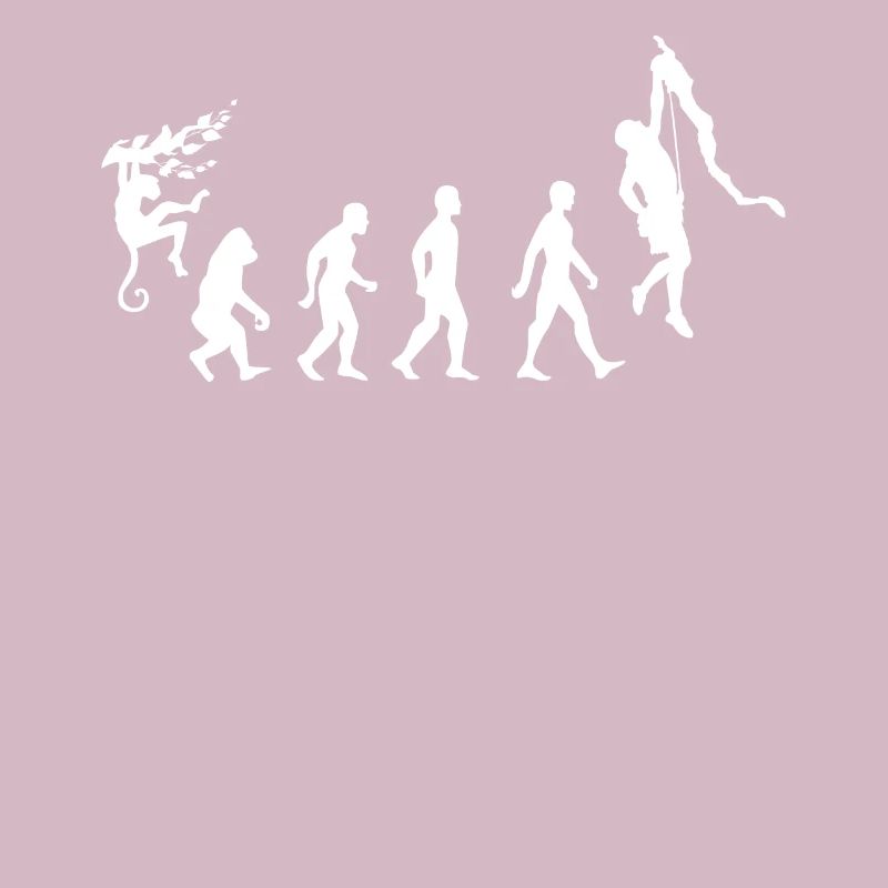Evolution du grimpeur