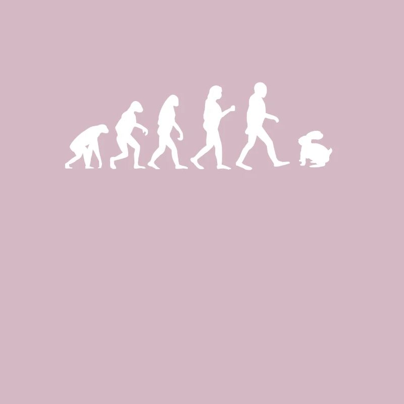 Lapin drôle lapin évolution