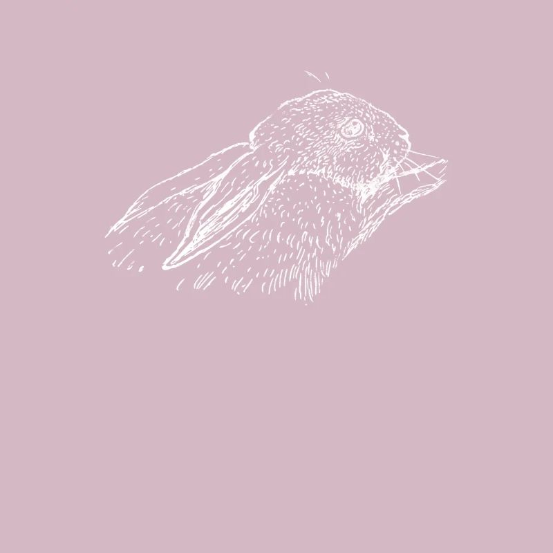Hase