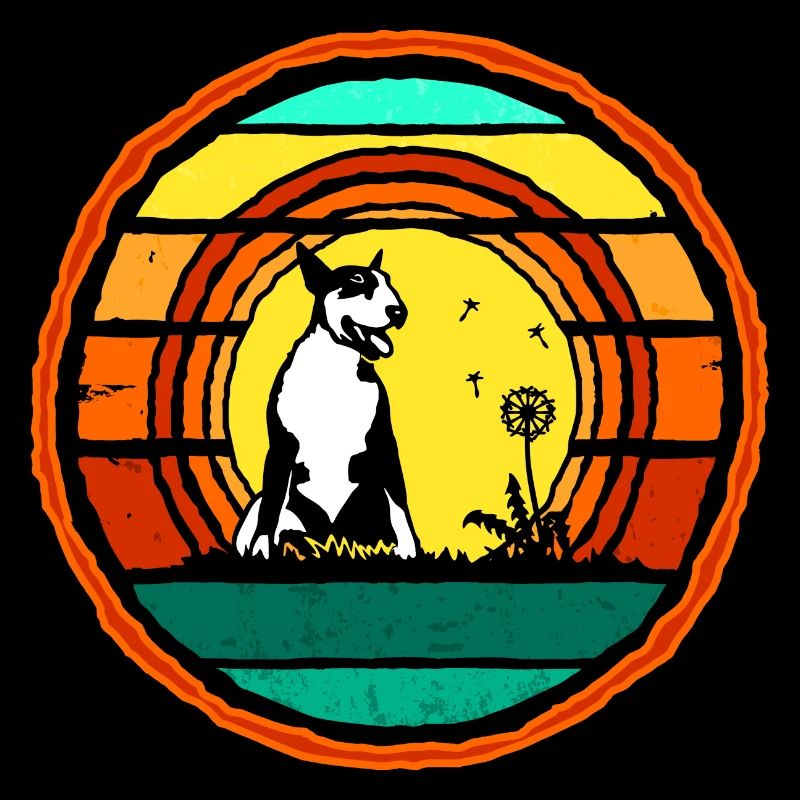 Bull Terrier coucher de soleil