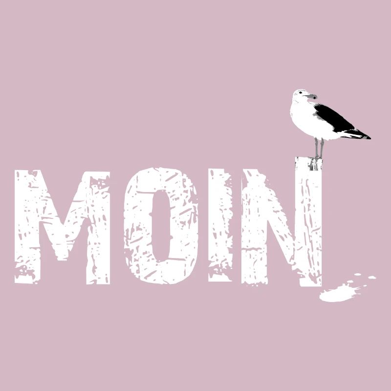 Möwe moin schiss