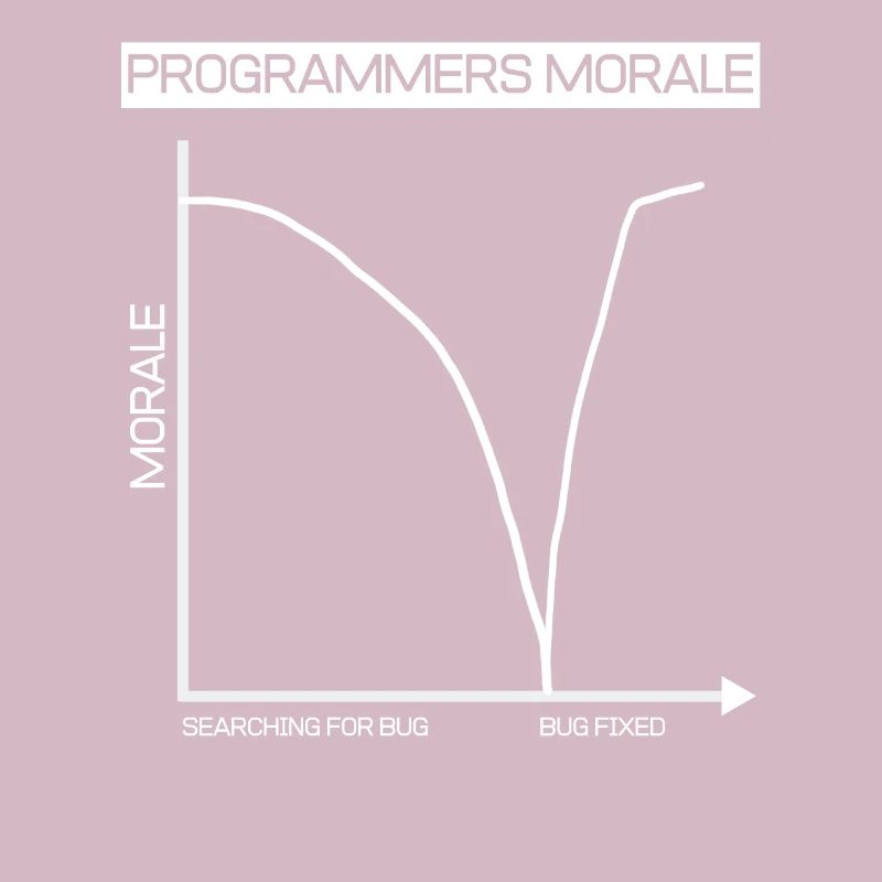 Lustiges Geschenk Programmierer Computer Diagramm