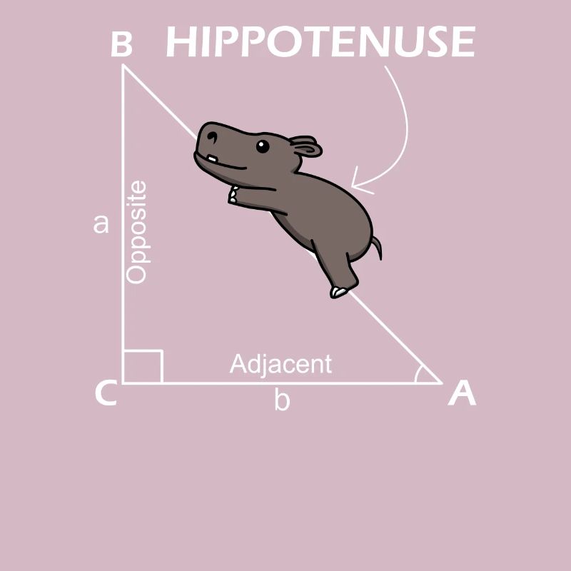 Math Hippotenuse Hypotenuse Professeur de mathématiques