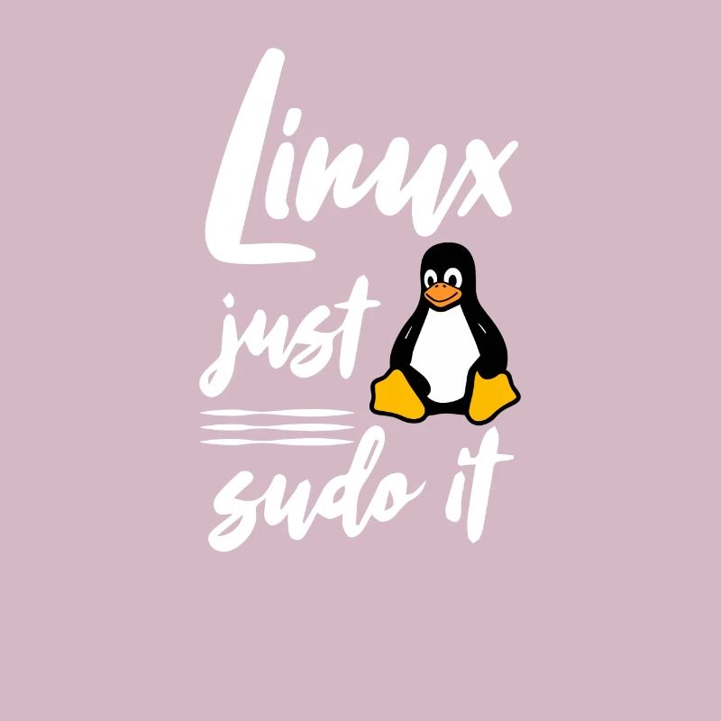 Linux juste sudo it