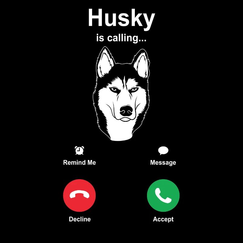 Husky Schlittenhunde