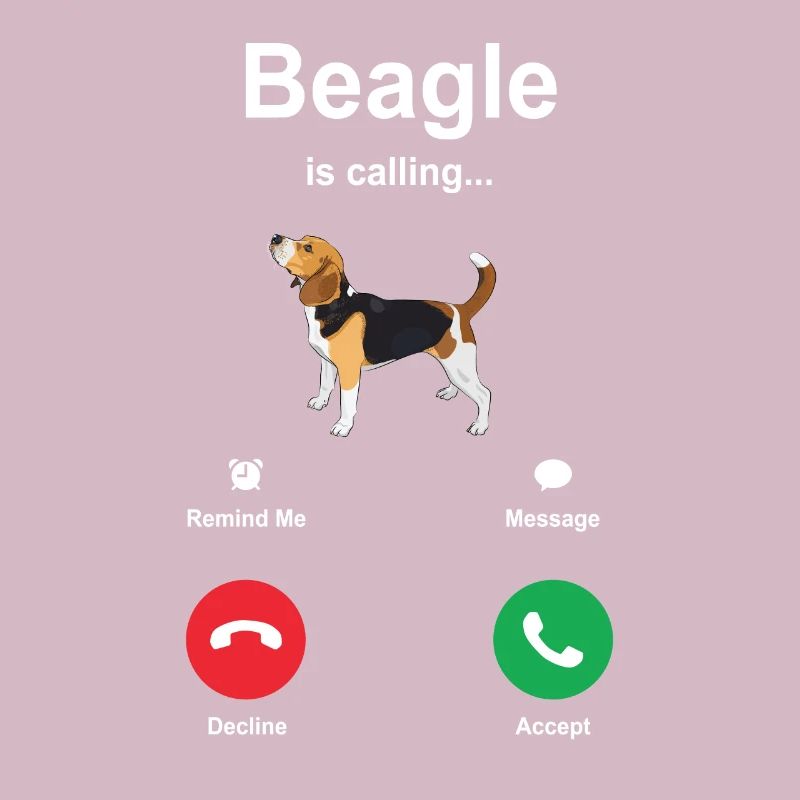 Idée cadeau chiot Beagle
