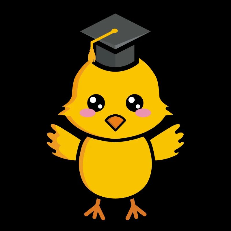 Chicks School Leaving Certificate School Studies