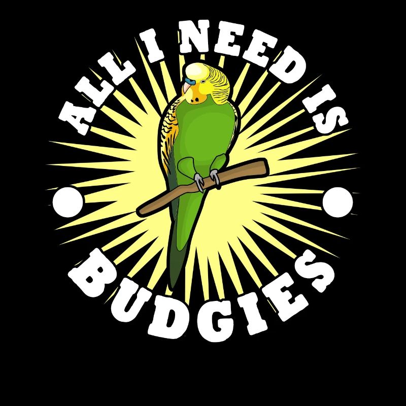 Budgie Budgie Budgerigar