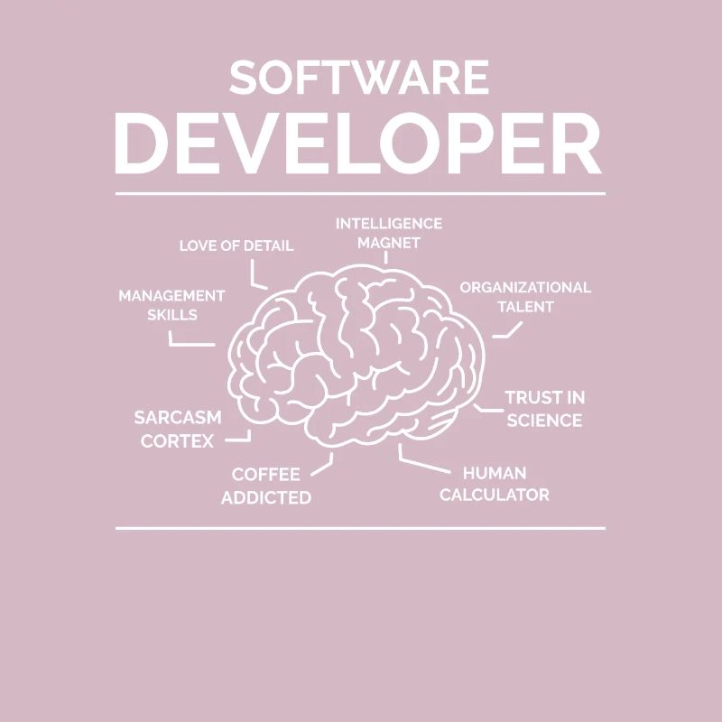 Software Developer