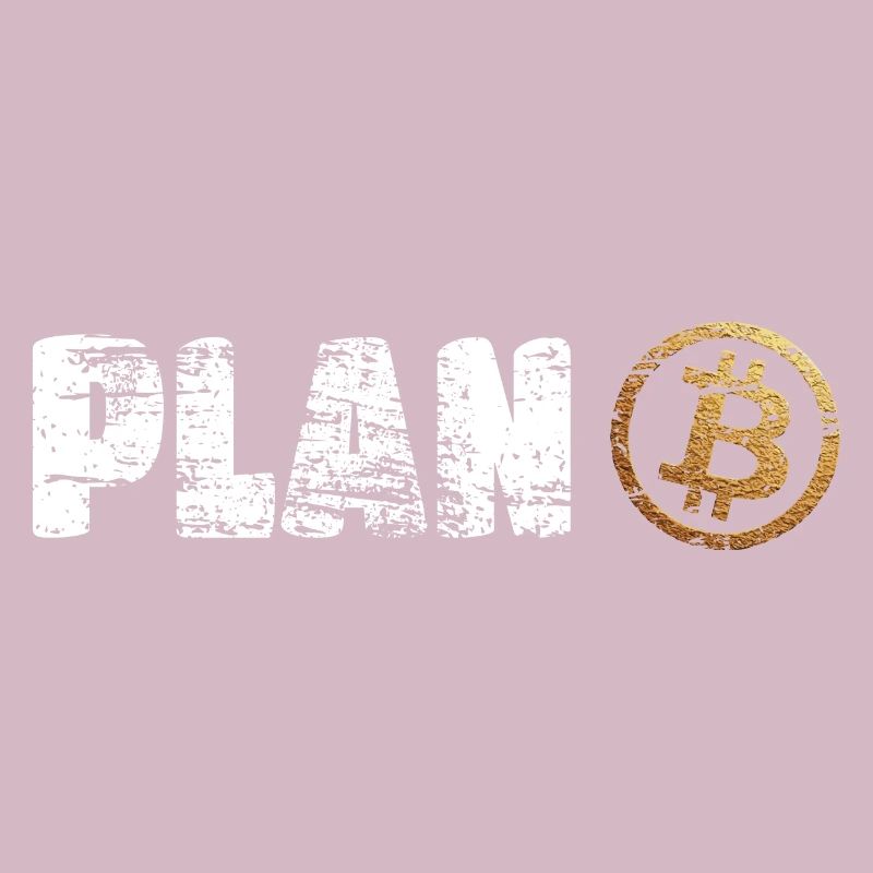 Plan B Bitcoin Krypto Crypto BTC