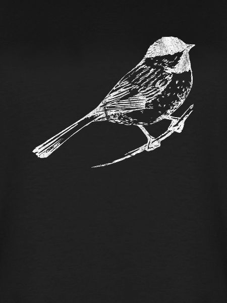 Vogel