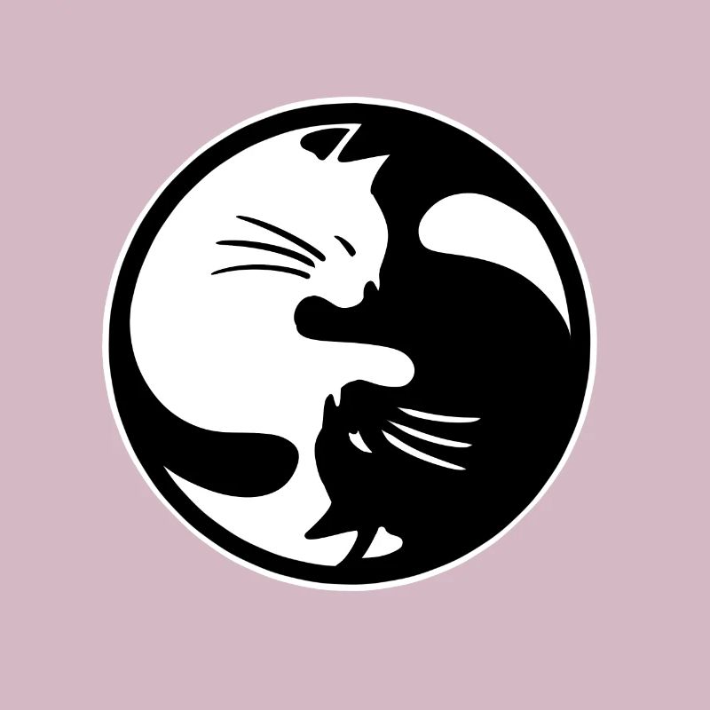 Ying Yang cat
