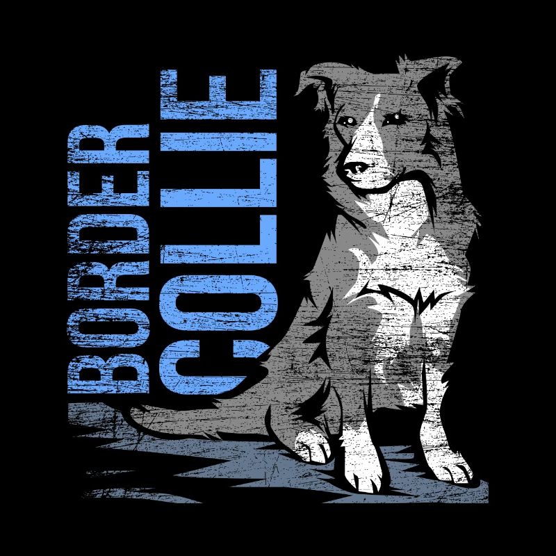 Border collie