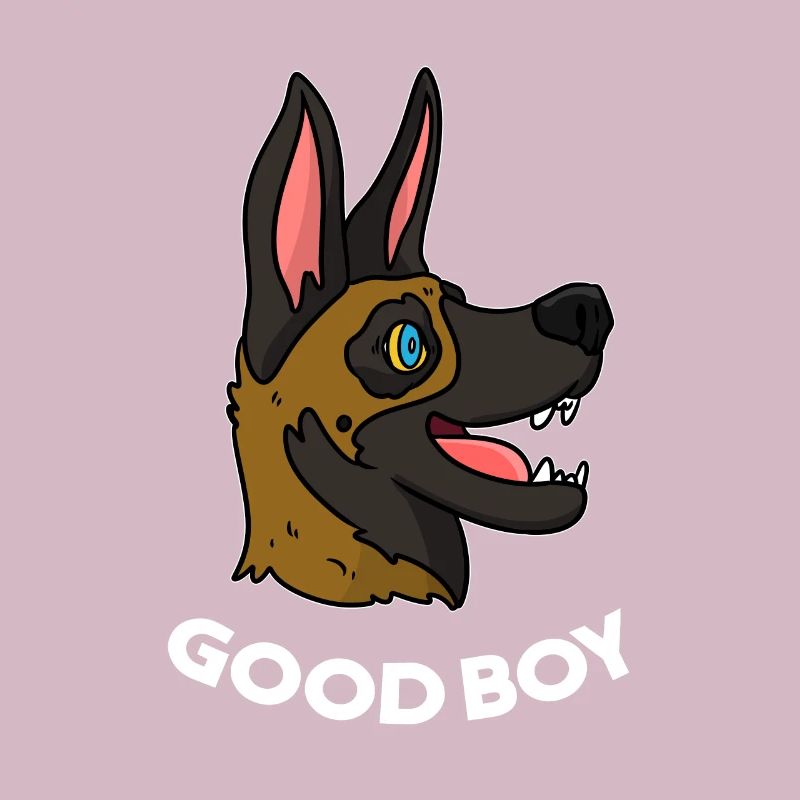 Malinois Hund