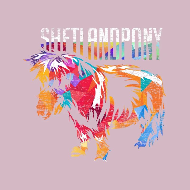 Shetland pony