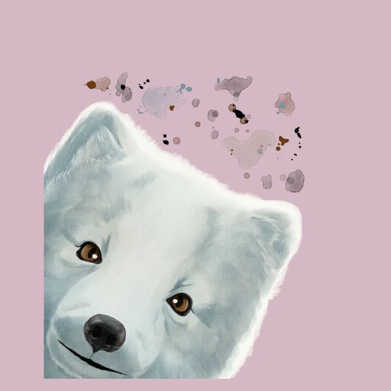 Neugieriger Polarfuchs