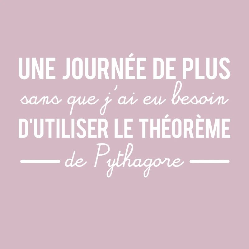 Une journée sans utiliser le théorème de pythagore