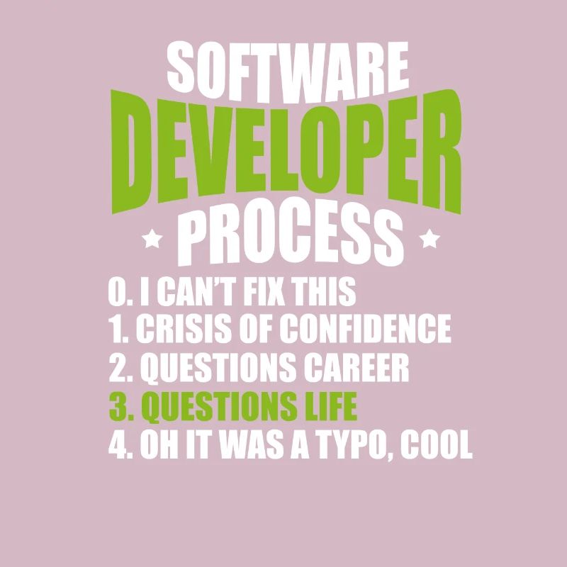 software developer