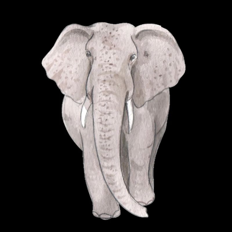 Grand éléphant