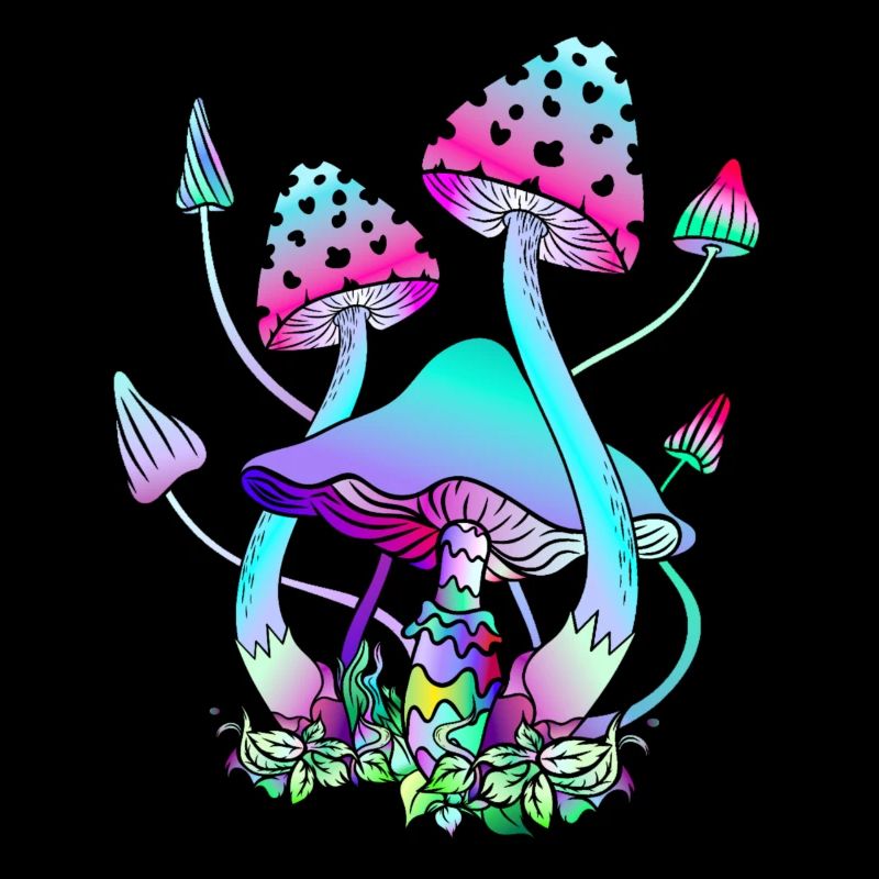 Magic Mushrooms Bunte Pilzkunst