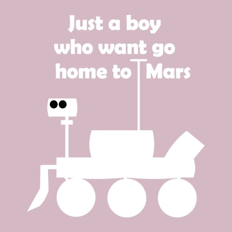 Excursion into space