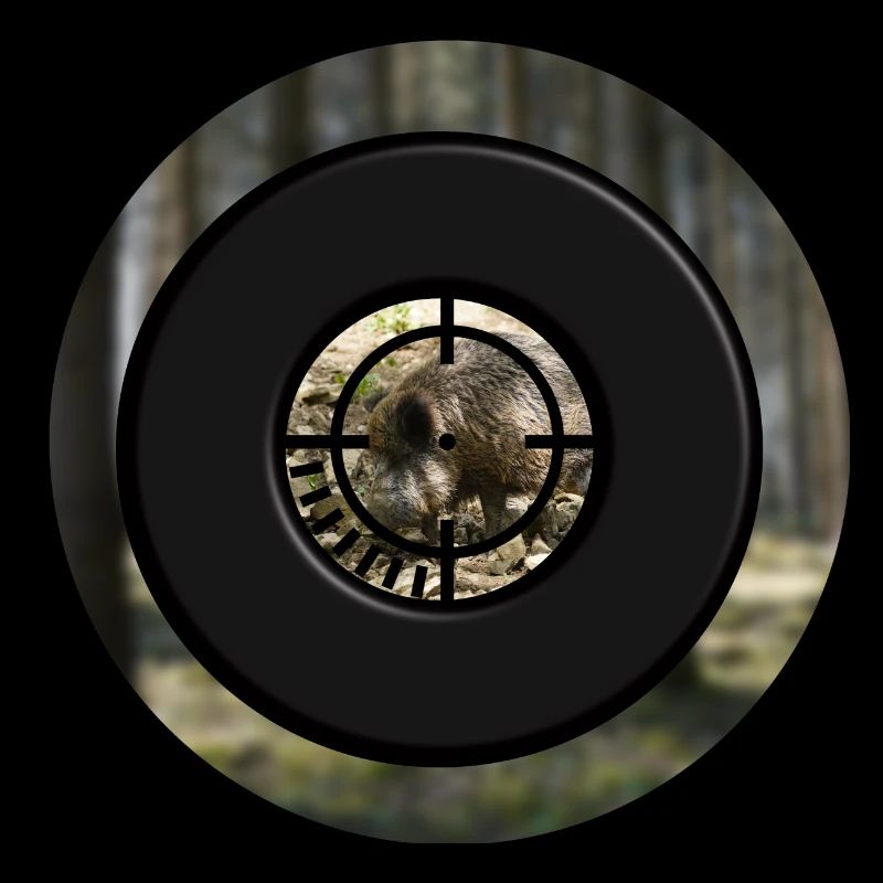 Ein Keiler durch das Zielfernrohr