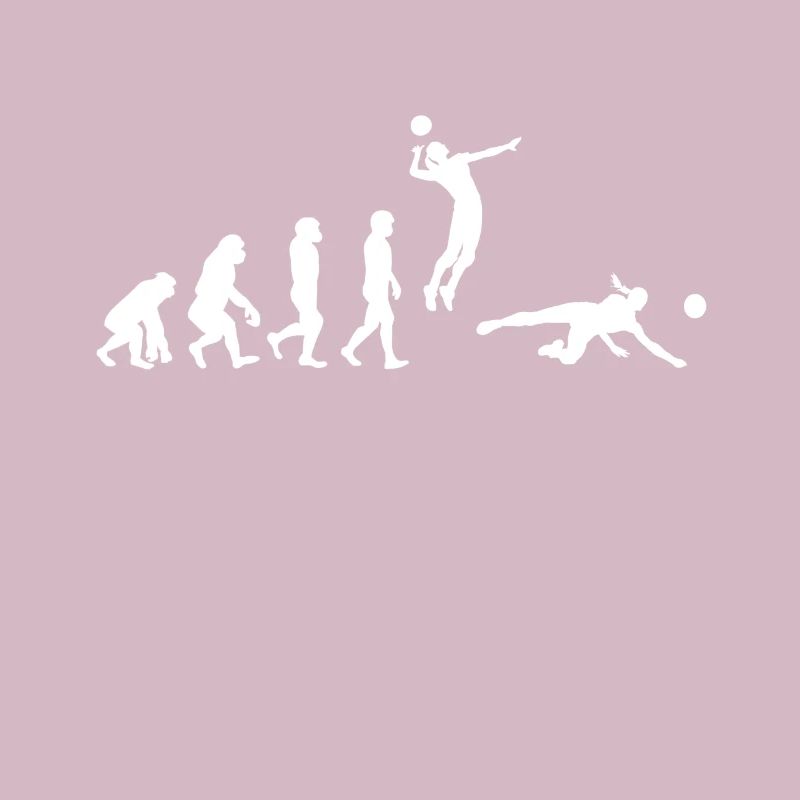 Volleyball Evolution