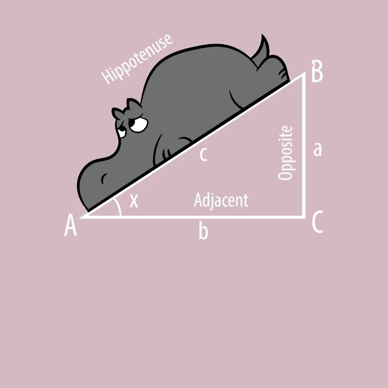 Mathe Pythagoras Hypothenuse Nilpferd Hippo