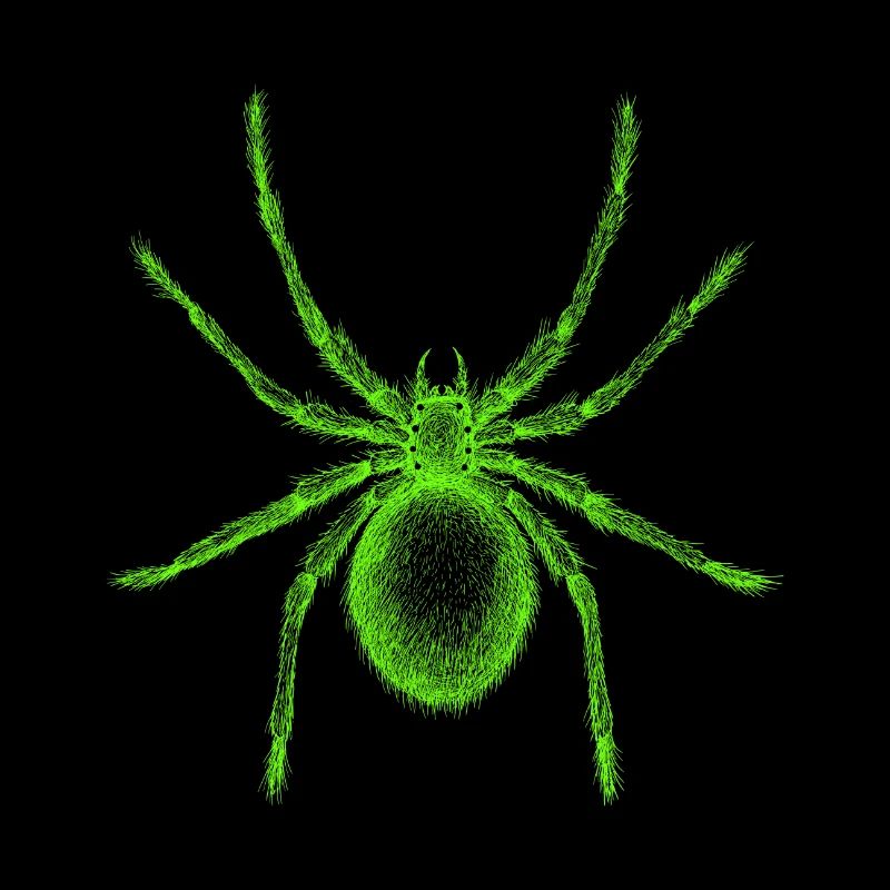 Spinne