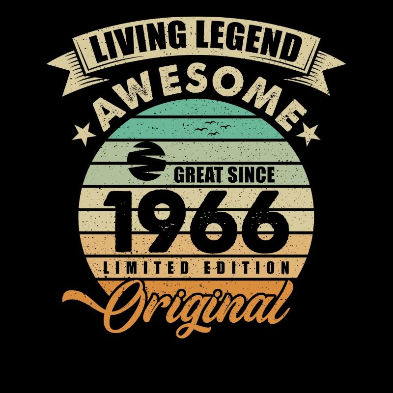 1966 Geburtstag Retro Orginal