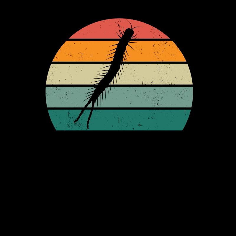 Insect Crawl Chitinous Tanks Fly Wing Ant
