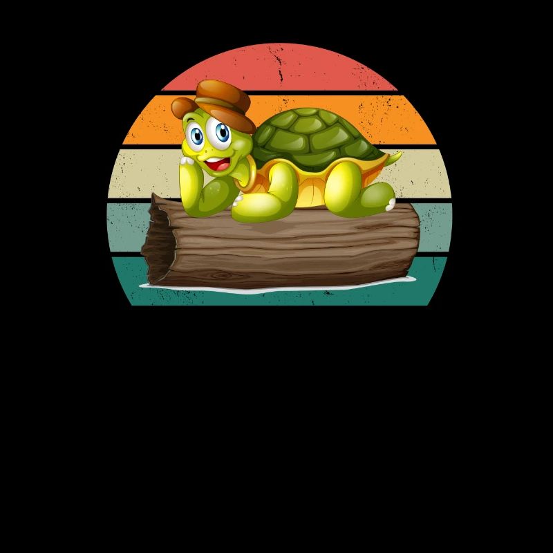 Turtles Turtle Shell Lizard Reptiles