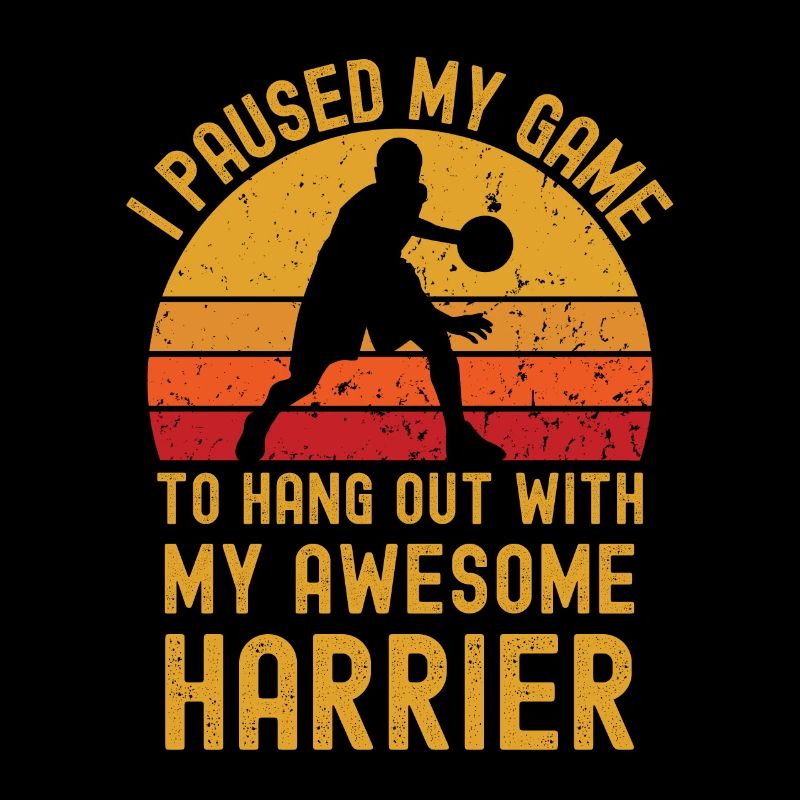 Basketball and Harrier