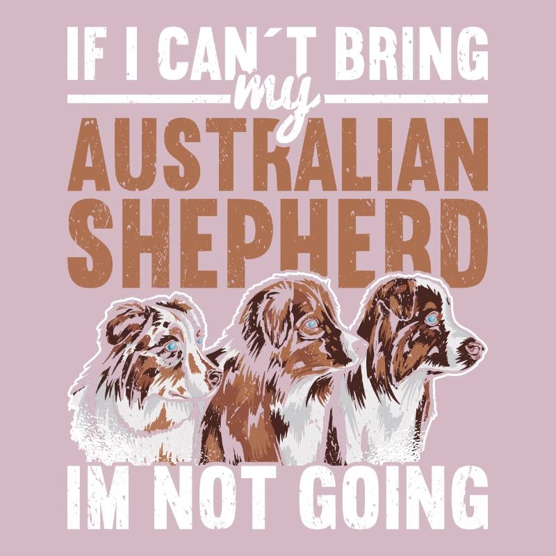 Australischer Schäferhund