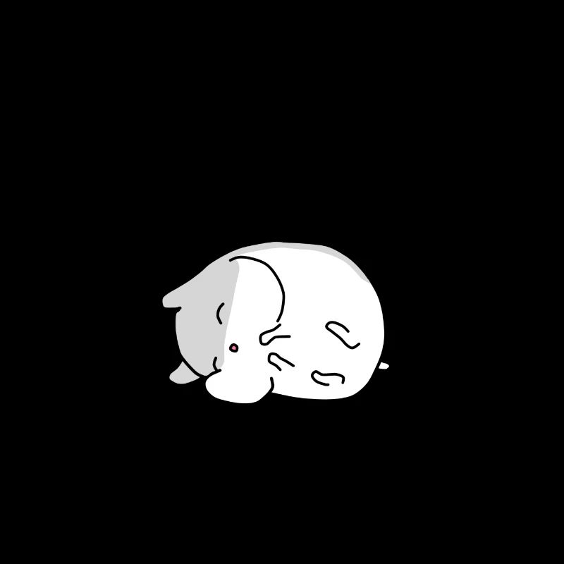 Sleeping hamster cute